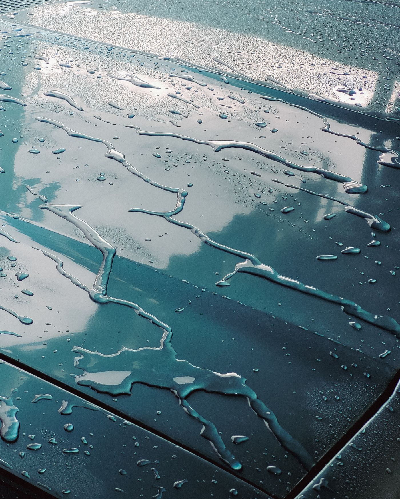 Water beading on a polished car bonnet